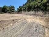 Beau Terrain hauteur  de Limoux - photo 19