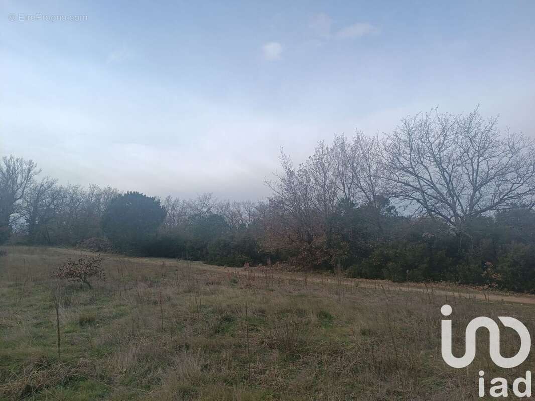 Photo 6 - Terrain à ORTAFFA