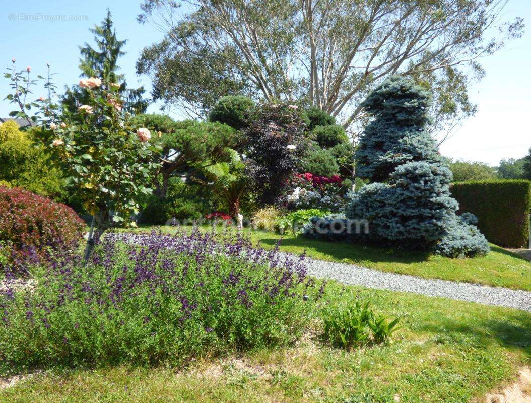 Maison 4 chambres, sous-sol et magnifique jardin - photo 15
