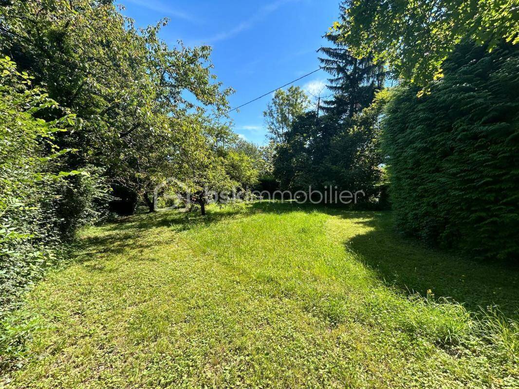 Terrain à BRIE-ET-ANGONNES