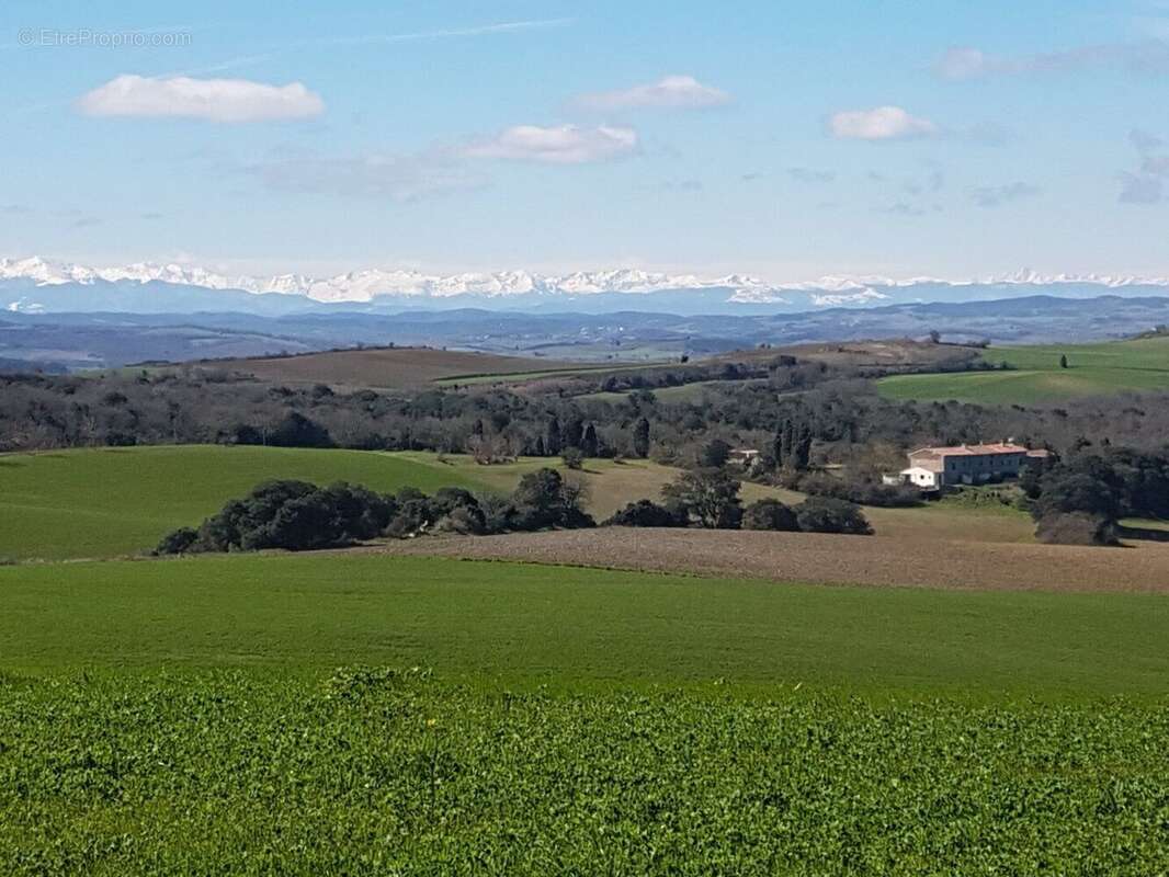 Magnifique emplacement pour ce domaine avec 5 maisons - photo 5
