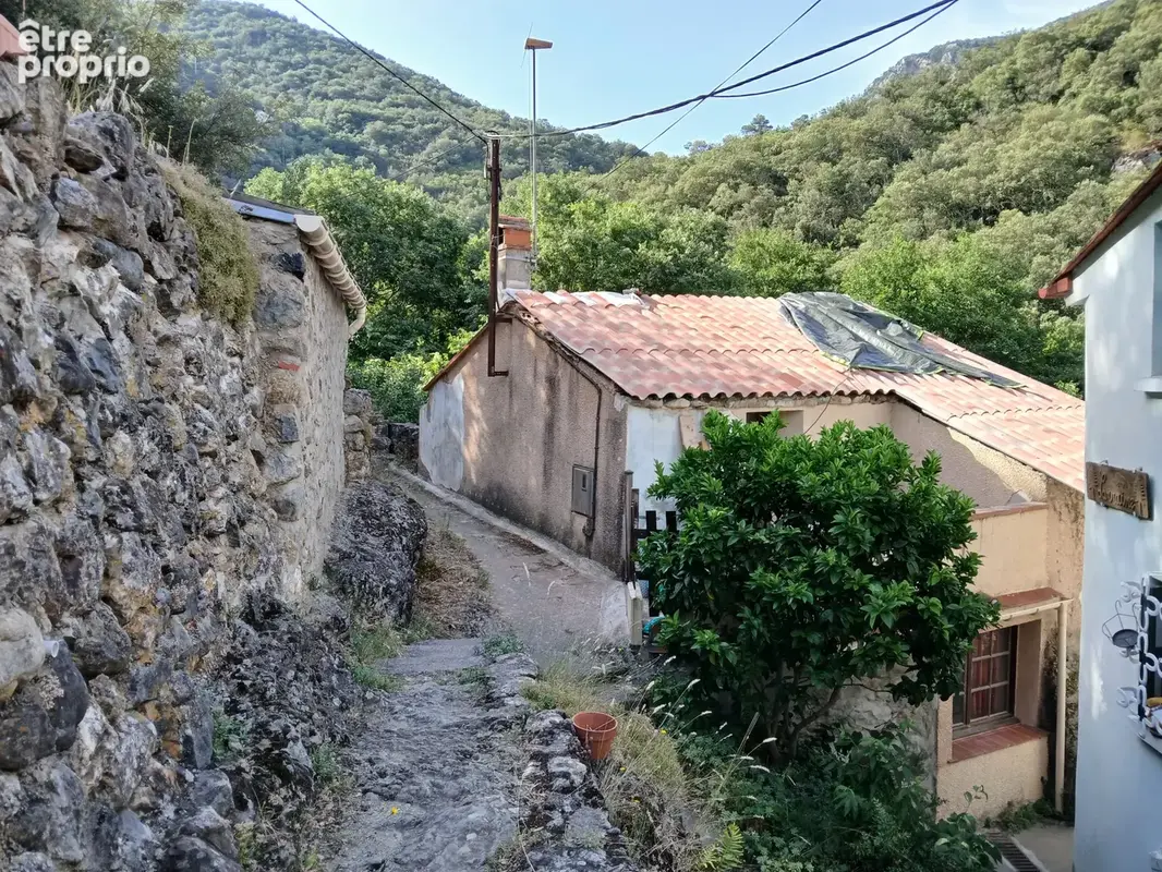 Mas en pierre à Reynes - photo 19