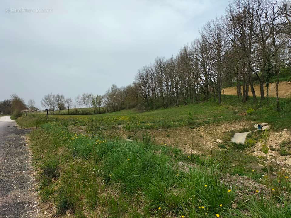 Terrain Avezan 2735 m2 - photo 8