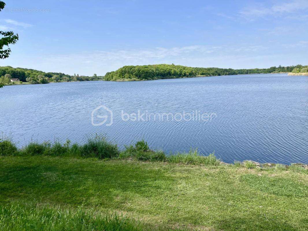 Maison à PUTTELANGE-AUX-LACS