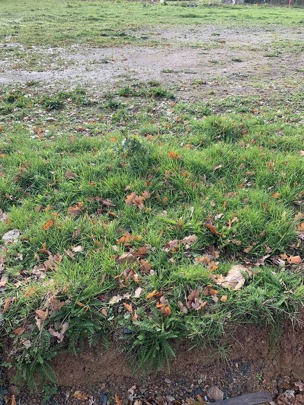 Photo Terrain à Rouans au prix de 90 200€