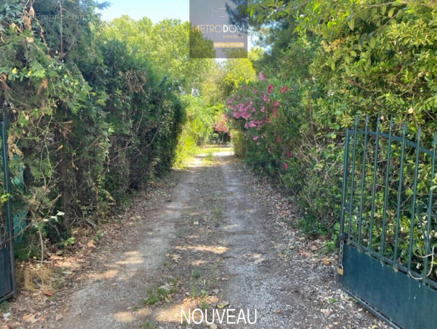 Maison à SAINT-ANDRE-DE-SANGONIS