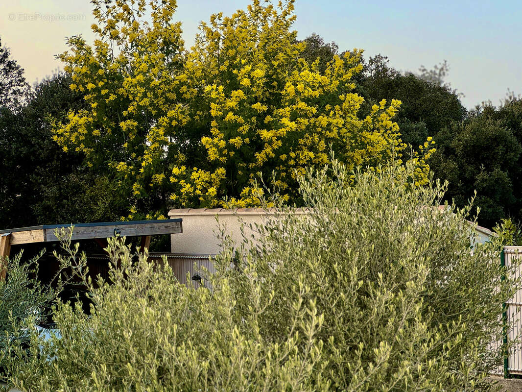 Maison à NIMES