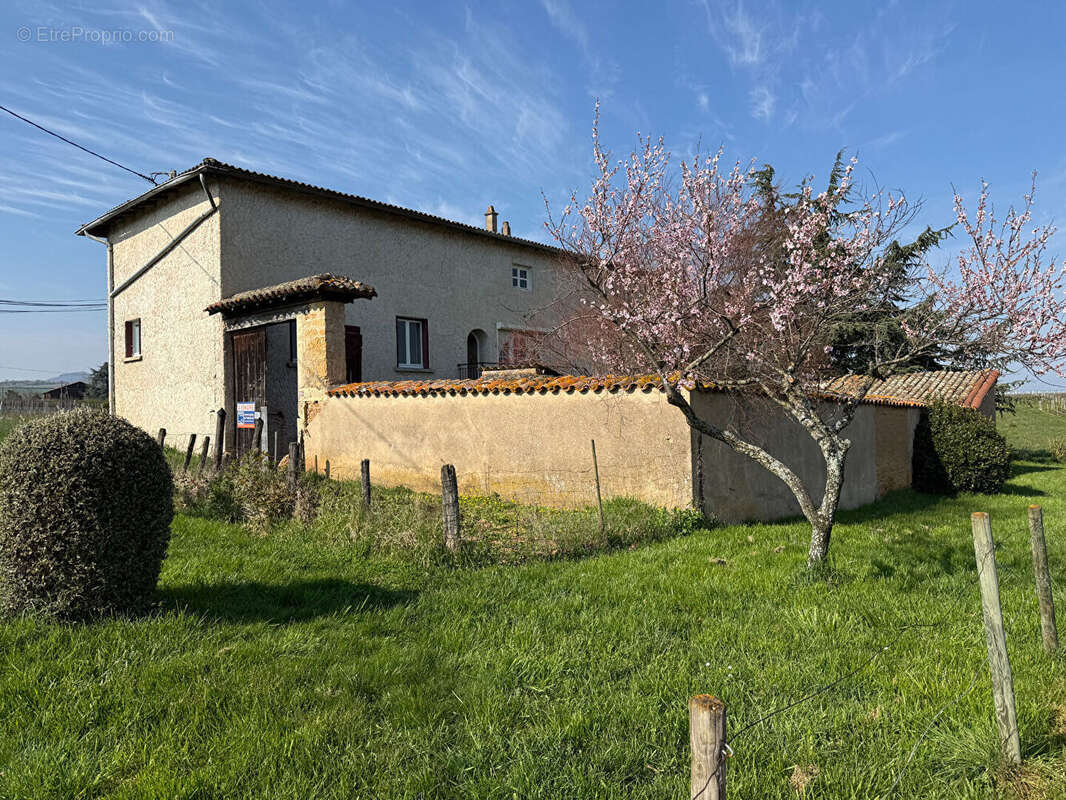 Maison à LIERGUES