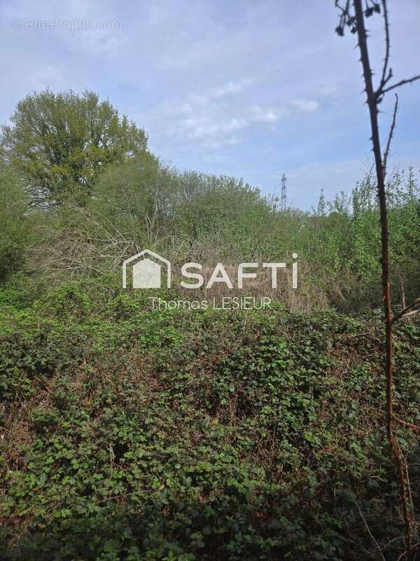Photo 4 - Terrain à LA FERRIERE-AUX-ETANGS