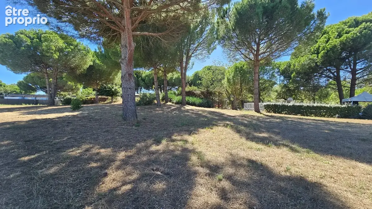 Terrain de loisirs arboré de 1 667 m²  un cadre idéal pour profiter en famille - photo 2