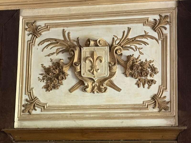 Gers(32), TRES BEAU CHATEAU DE FAMILLE 45HA avec dependances, un peu caché, en position dominante, une belle histoire - photo 5