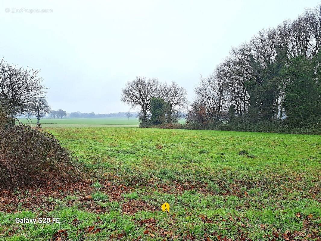 Terrain à CHATEAUBOURG