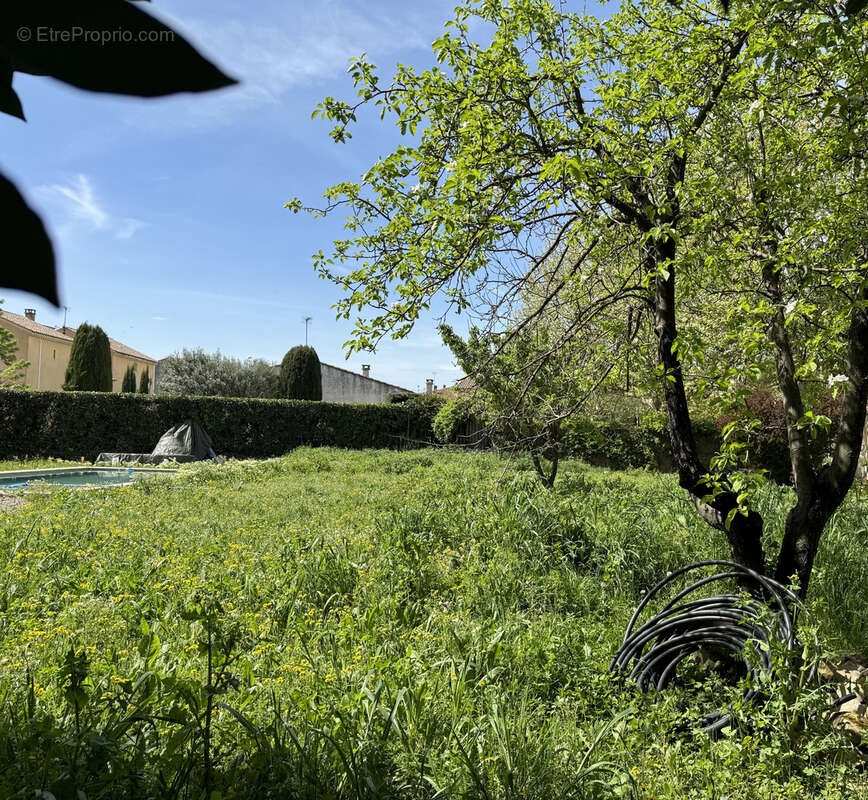 Terrain à CADEROUSSE