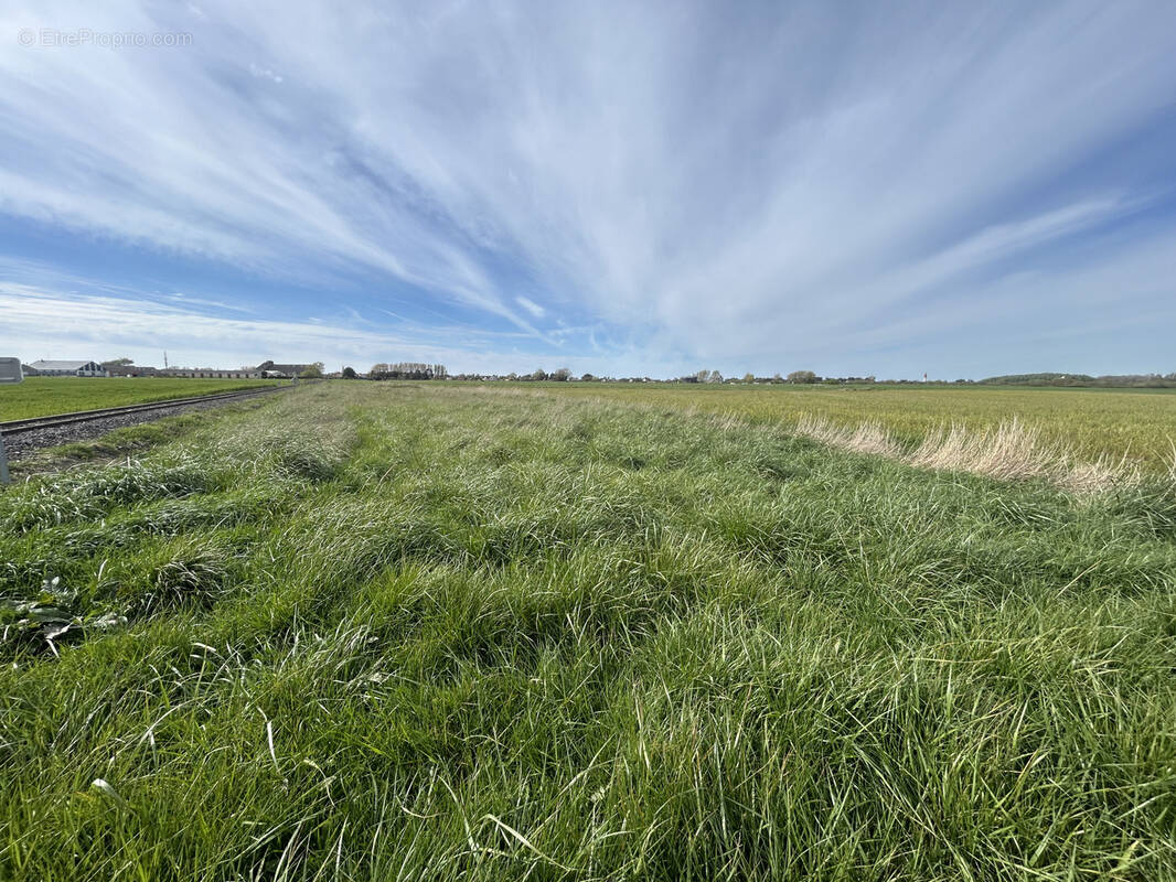 Terrain à CAYEUX-SUR-MER