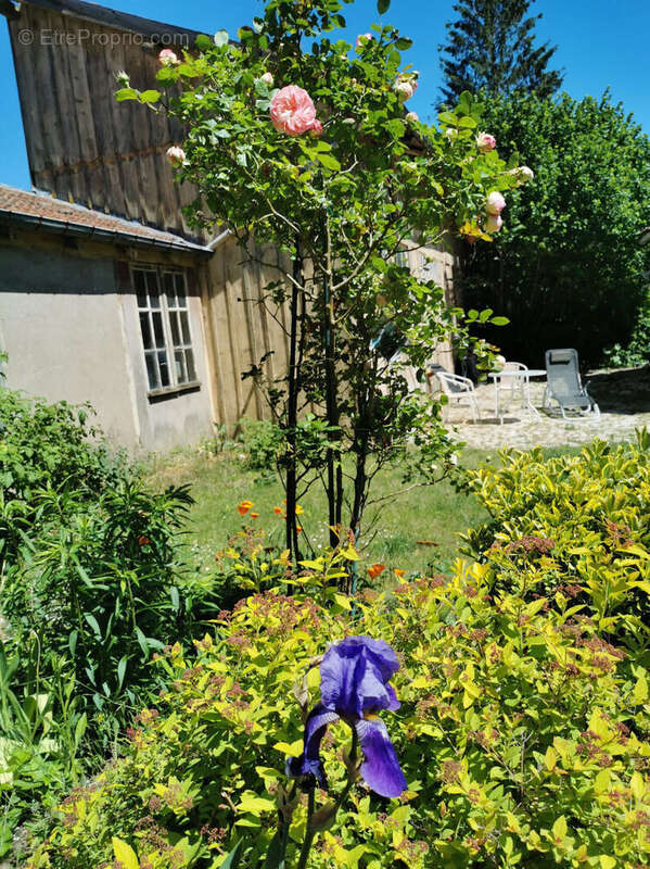 Appartement à LUNEVILLE