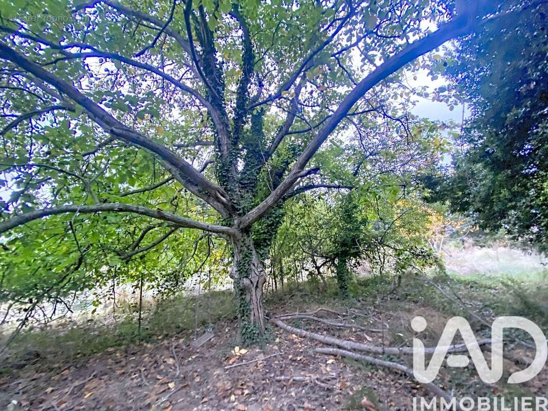 Photo 6 - Terrain à QUARANTE