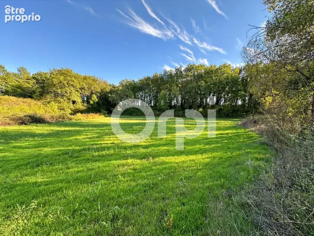 Terrain À Vendre 5 960 m² - photo 3