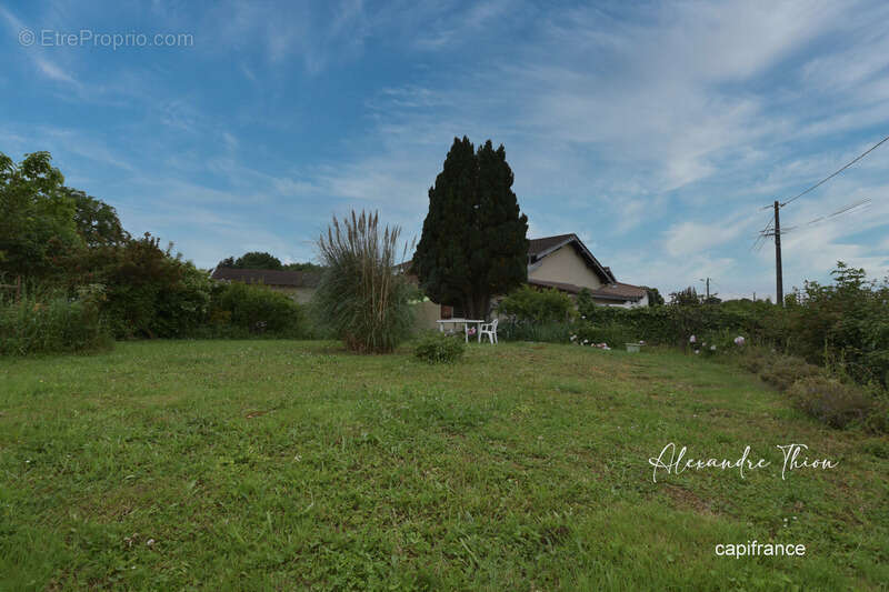 Maison à DOMPIERRE-SUR-VEYLE