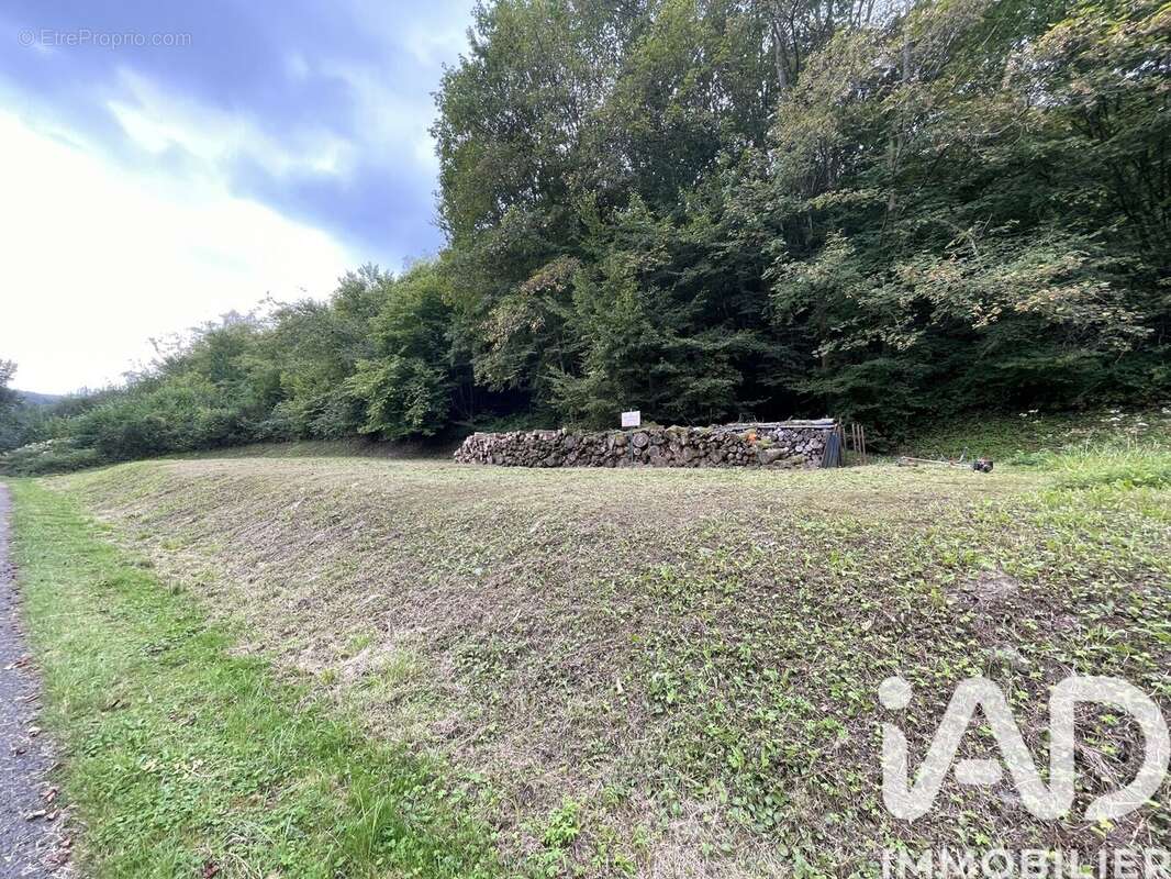 Photo 4 - Terrain à ANCHAMPS