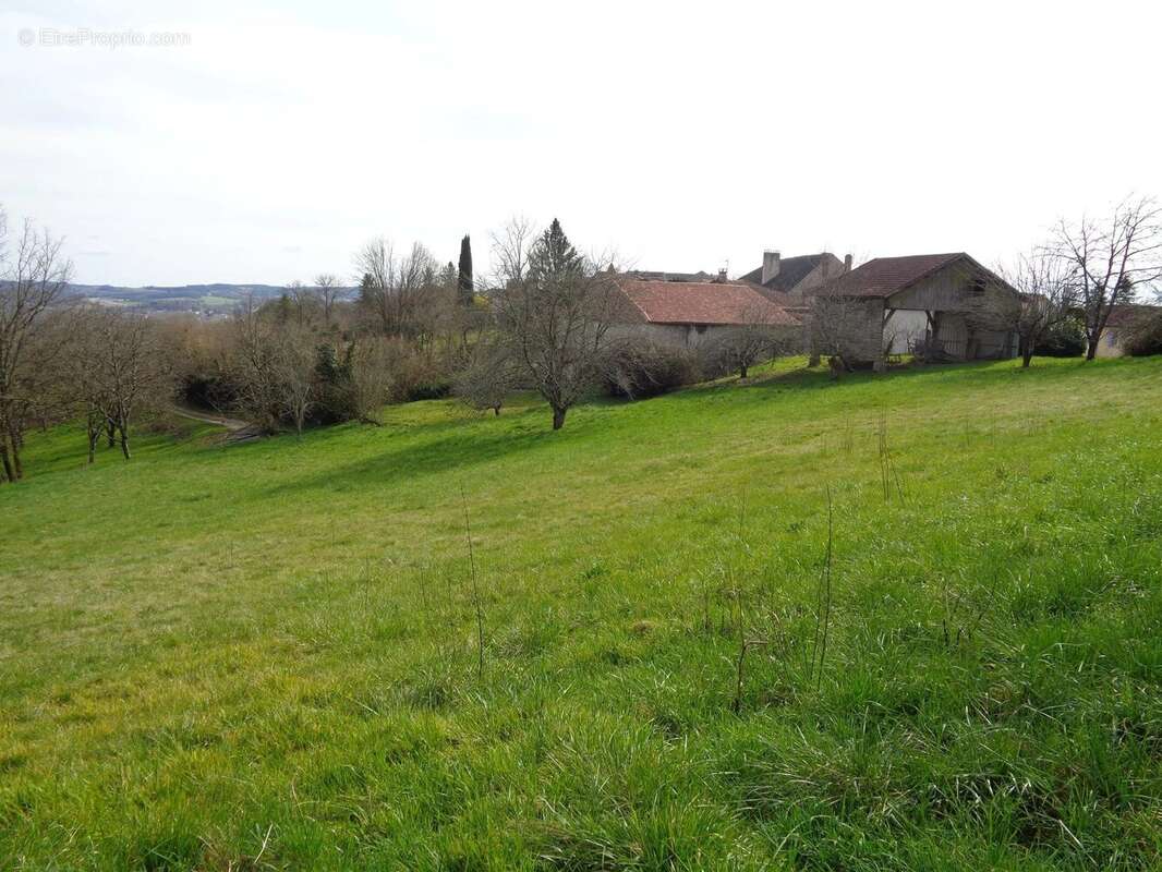 Terrain à MONTAGRIER