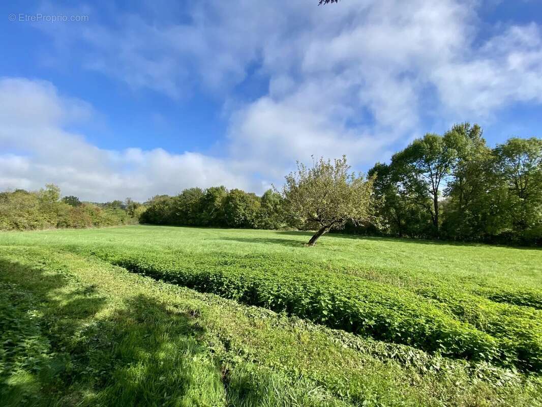 Maison à SAINT-CASSIEN