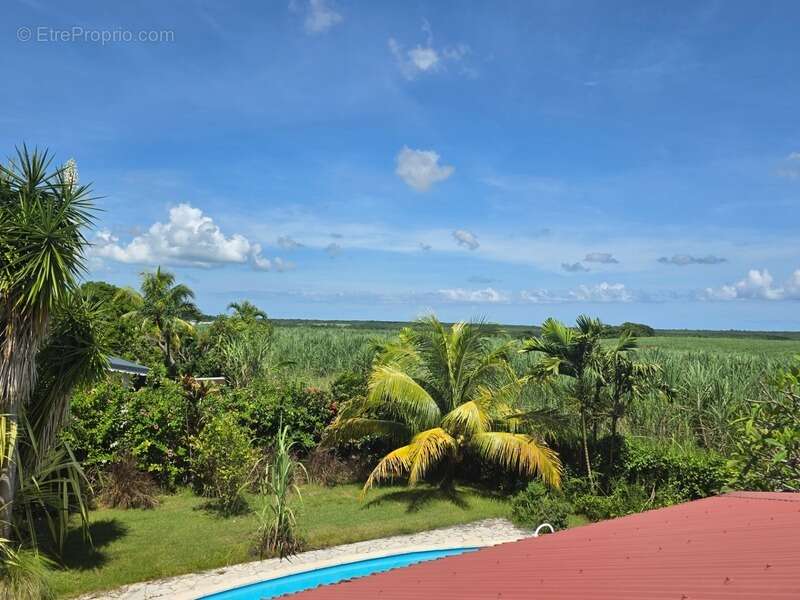 Maison à BAIE-MAHAULT