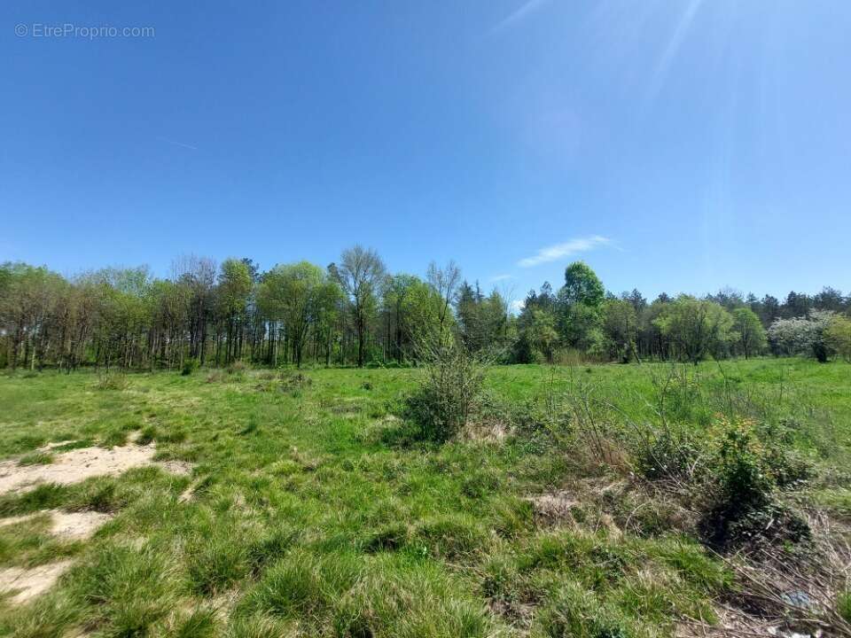 Terrain à VACQUIERS
