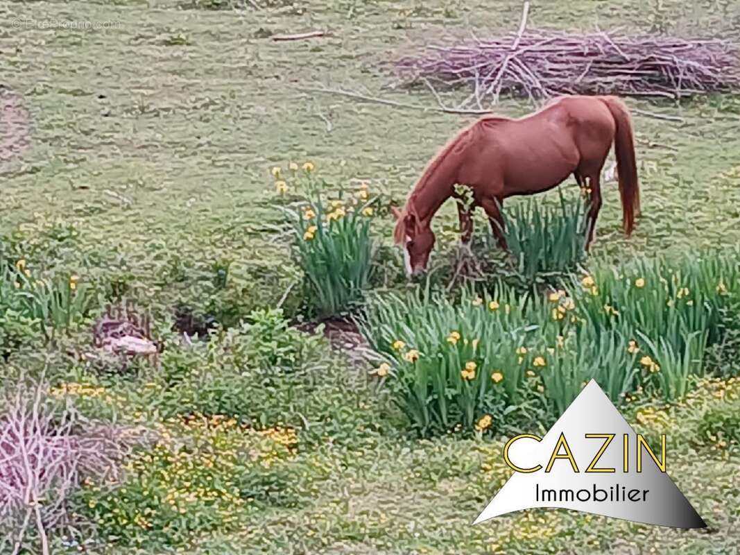 Maison à VIMOUTIERS