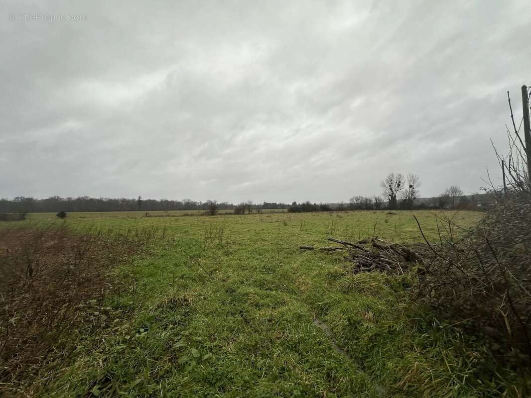 Terrain à SAINT-GEORGES-DU-VIEVRE