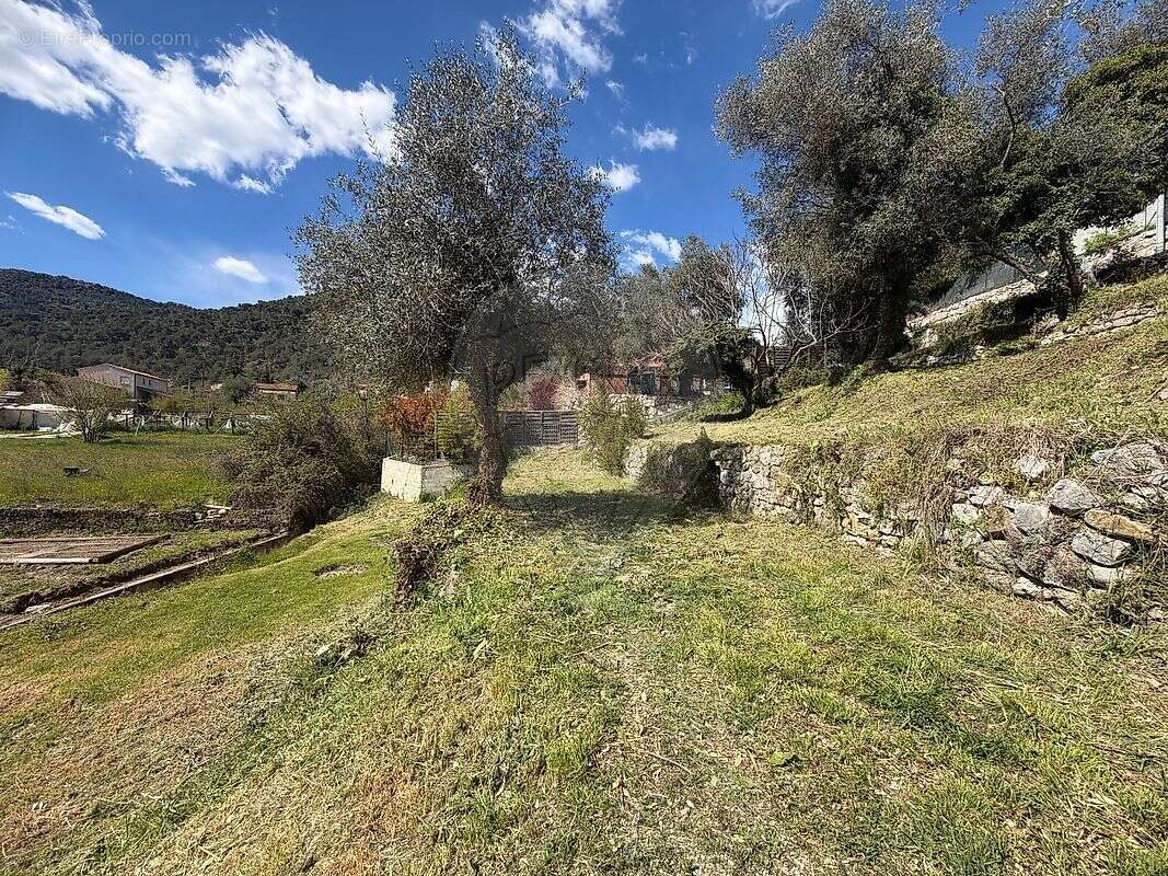 Terrain à TOURRETTE-LEVENS