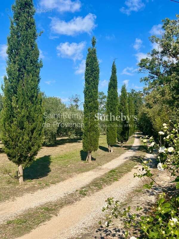 Maison à SAINT-REMY-DE-PROVENCE