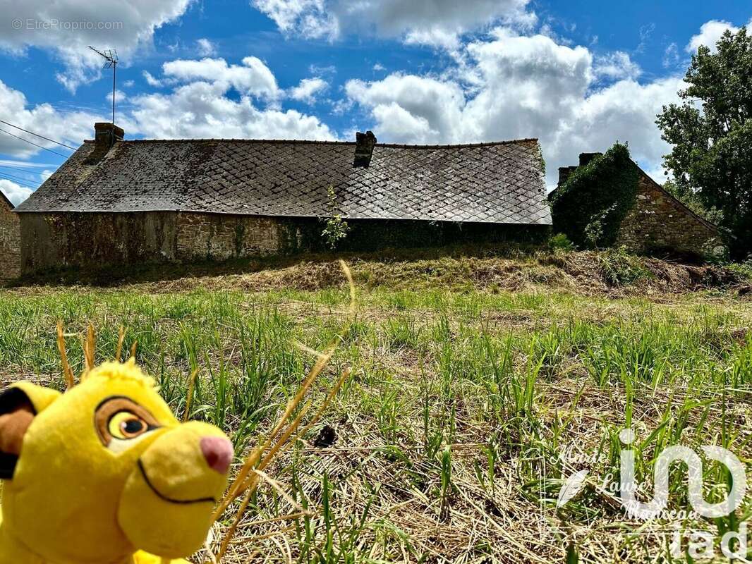 Photo 4 - Maison à BRUC-SUR-AFF