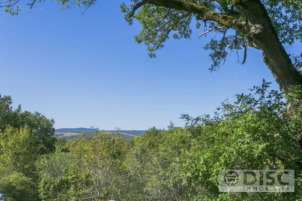 Maison à CASTELNAU-DE-MONTMIRAL