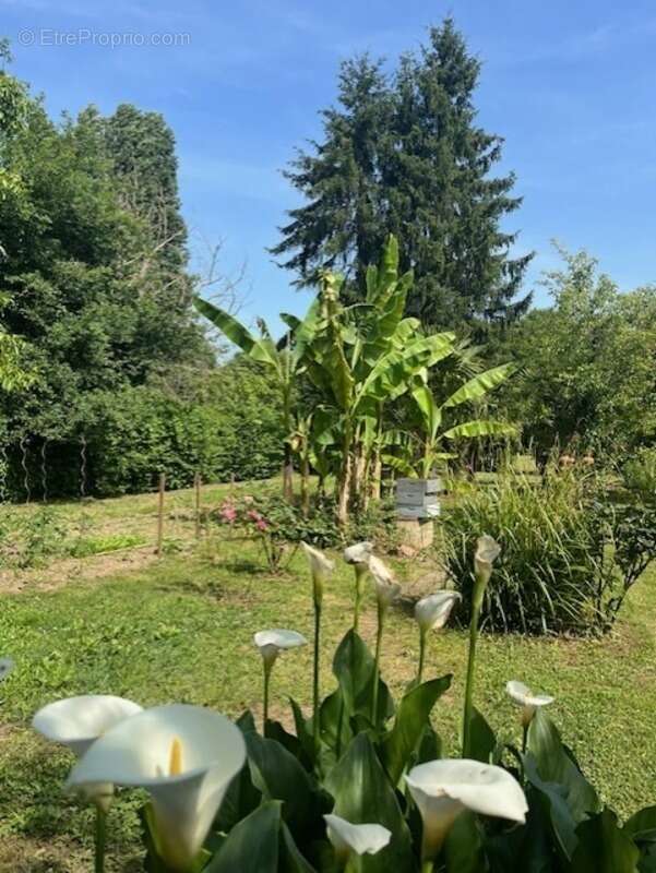 PLAISANCE (32): SANS TRAVAUX, MAISON XVIIIs restaurée avec élégance SUR 240M2 habitables, 6600m2 de jardin,géothermie,  puits, g - photo 52