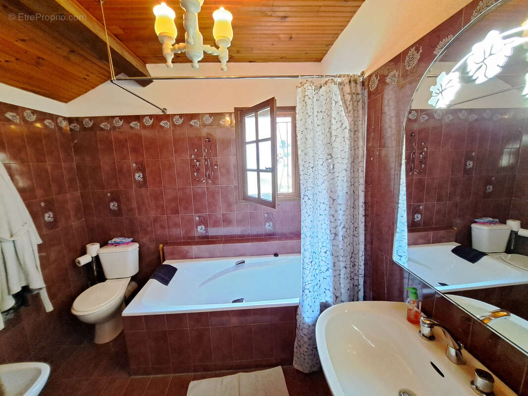 Grande maison familiale avec gîte indépendant, terrasses et jardin à Sainte-Colombe-sur-Guette - photo 26