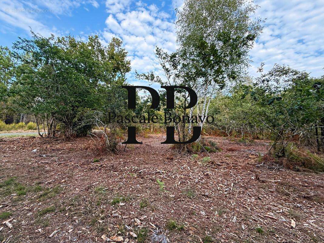 Terrain à VENDAYS-MONTALIVET