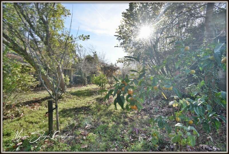 Maison à RIVIERE-SAAS-ET-GOURBY