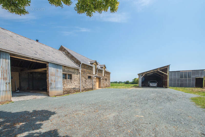Ensemble en pierre à rénover – 340 m² de potentiel habitable – Hangar 223 m² – Terrain 3 109 m² - photo 17