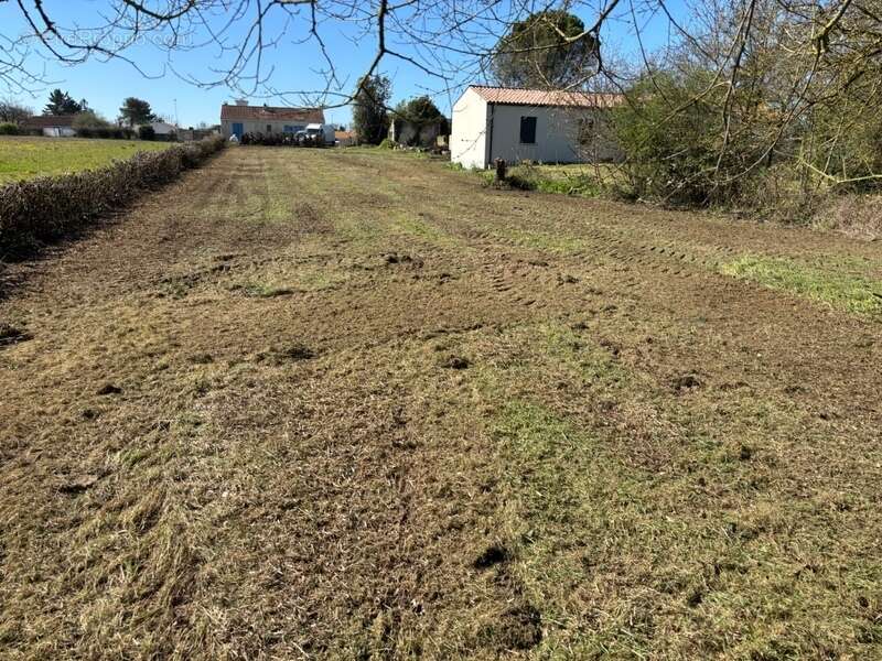 Terrain à LE THOU