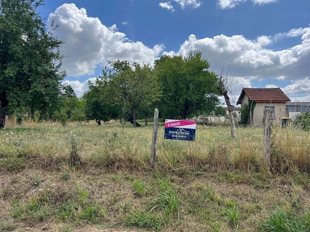 Terrain à LHOMMAIZE