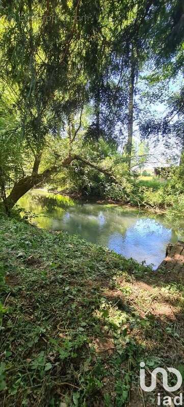 Photo 2 - Terrain à DERNANCOURT