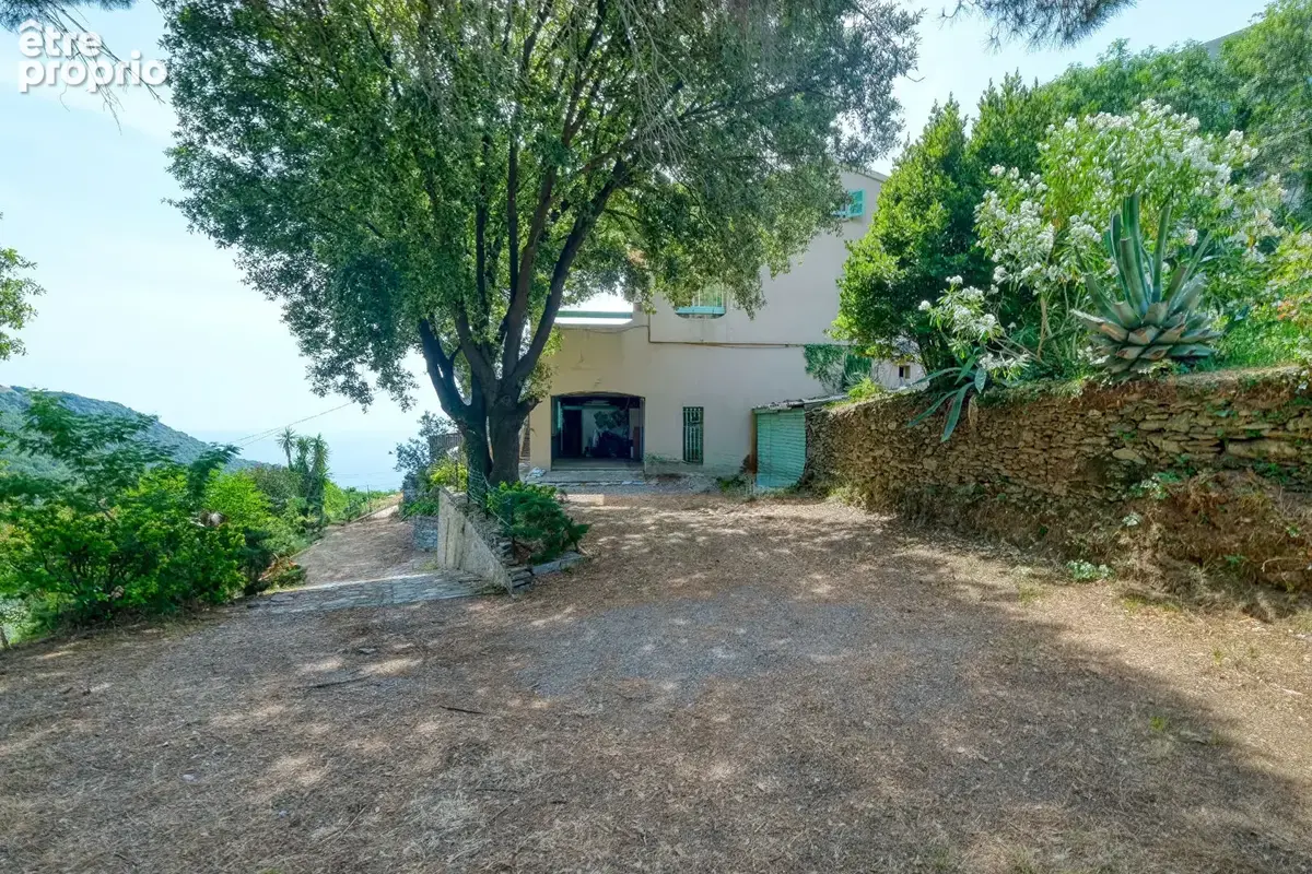 Maison 194m² à ville-di-pietrabugno - photo 3