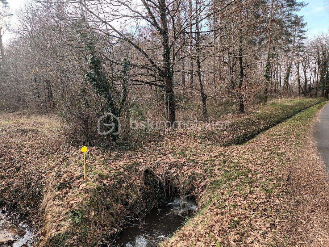 Terrain à LA FERTE-SAINT-CYR