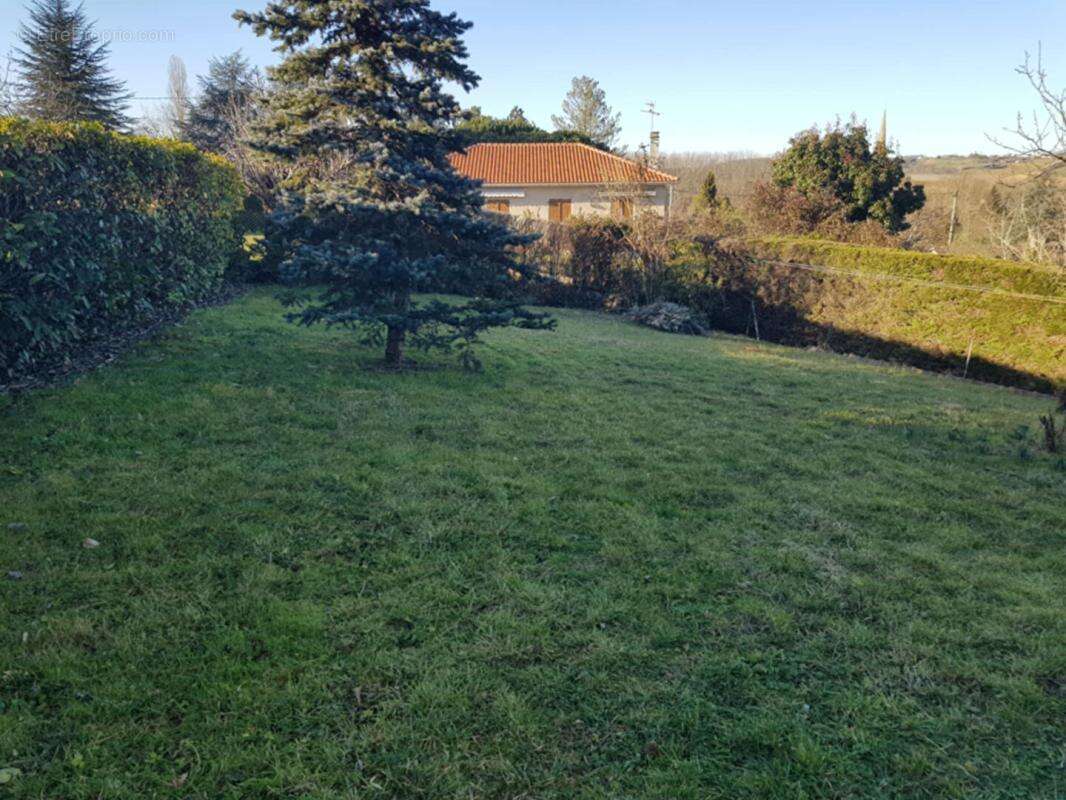 Maison à MARCIAC
