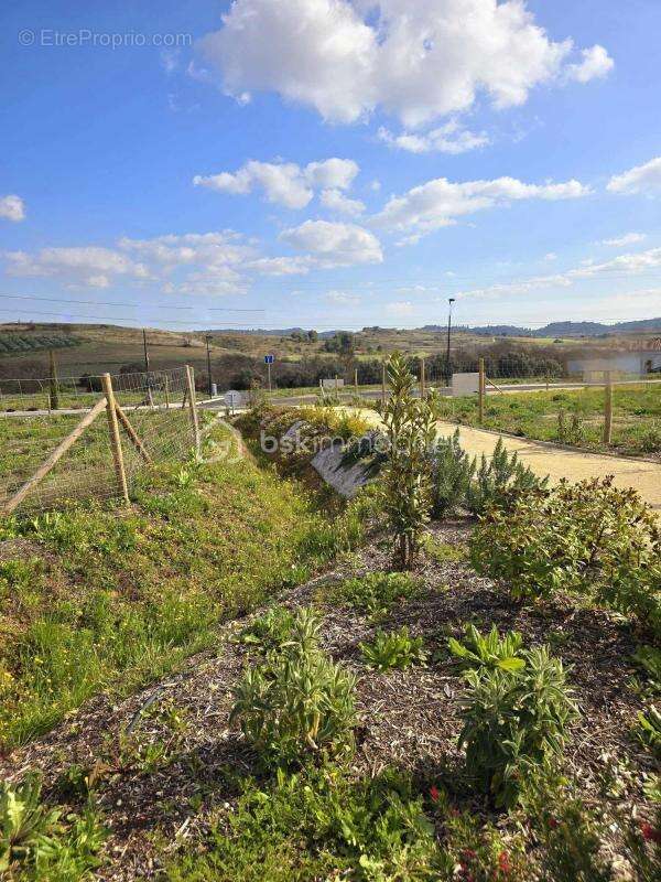 Terrain à GIGNAC