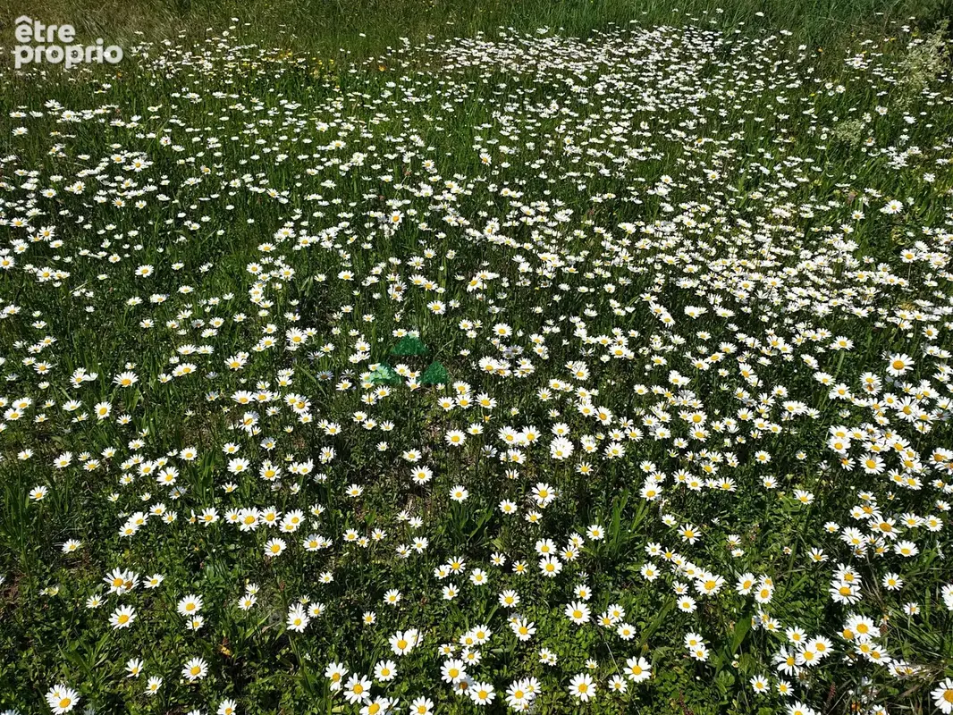 Terrain à Bâtir à Roppentzwiller - photo 2