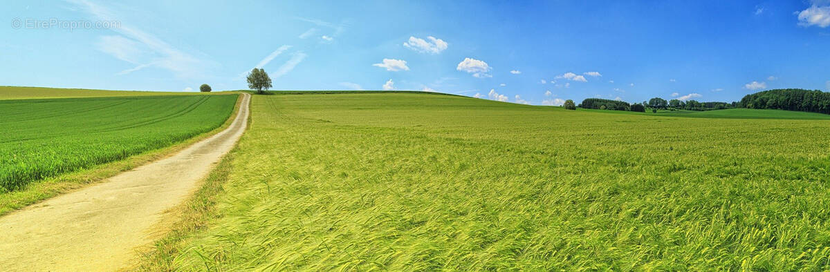 Terrain à GALLUIS
