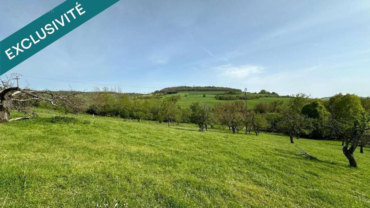 Terrain 1015 m² à Bouxieres-Aux-Chenes  - photo 5