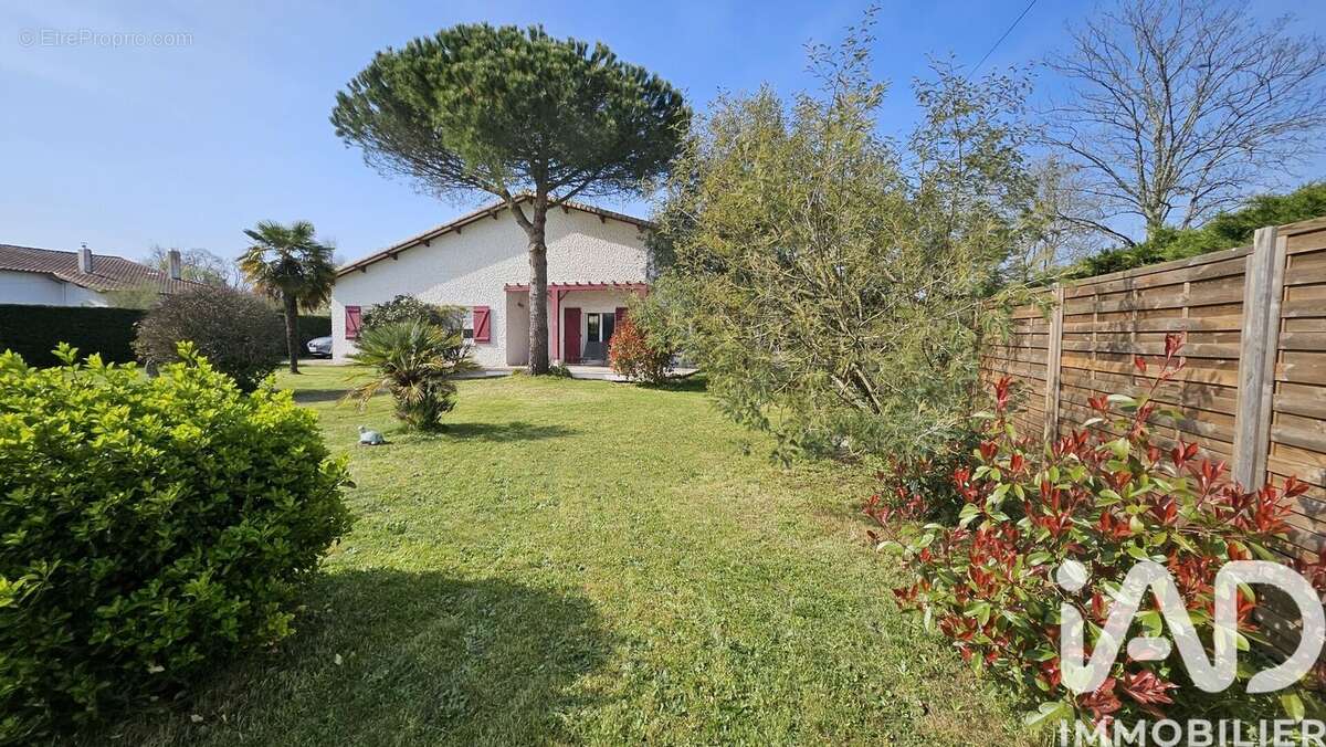 Photo 4 - Maison à SAUJON