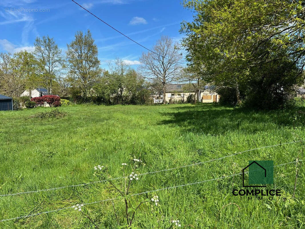 Terrain à VIGNEUX-DE-BRETAGNE